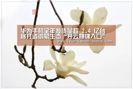 开云棋牌官方下载